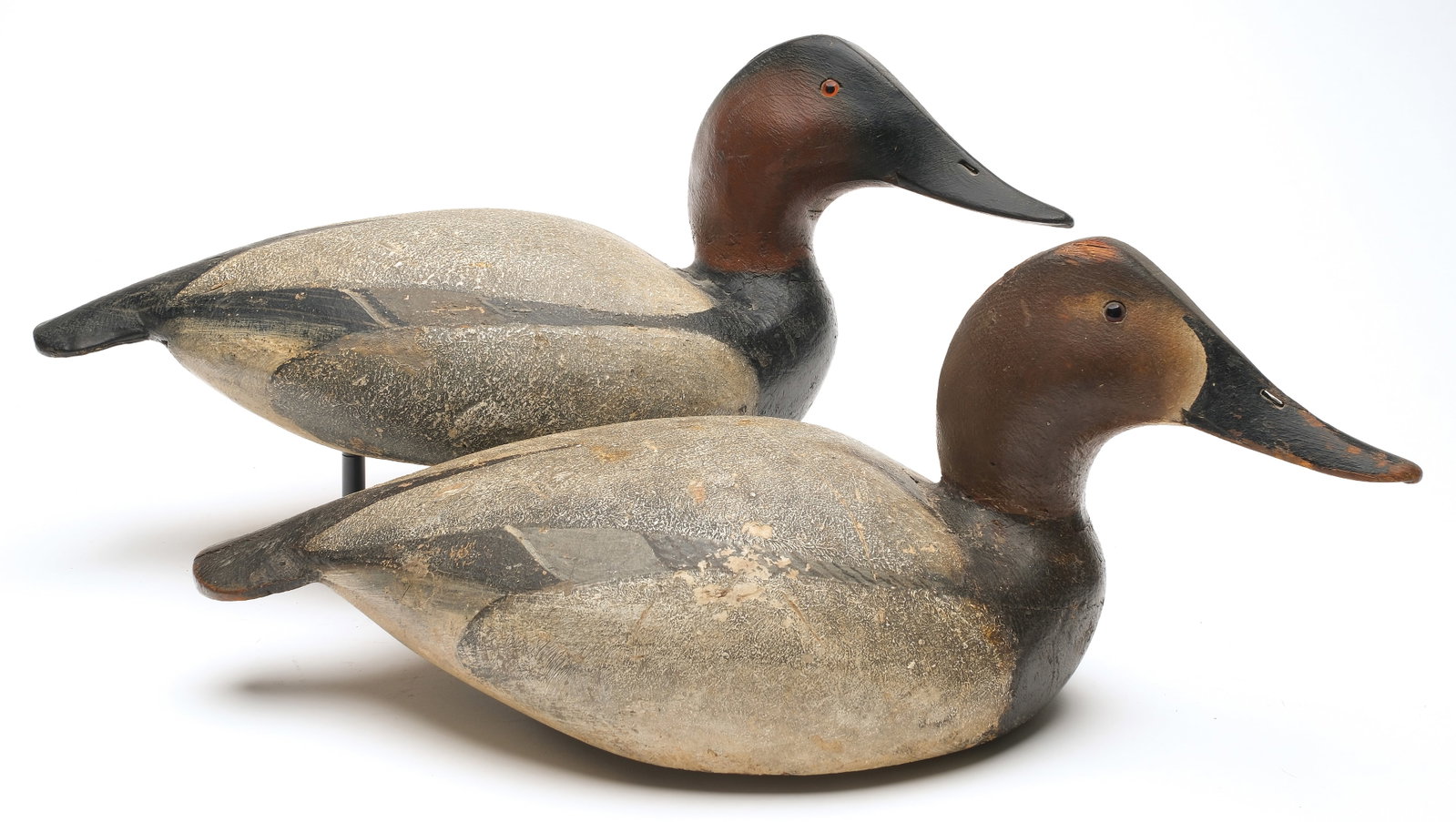 Ward Brothers, Crisfield, Maryland.: Pair of 1936 style canvasbacks. Slightly turned heads and thick stipple paint detail. Both were signed and dated 1936 at a later date. Each with remnants of the maker's ink stamp under tail area. Drak