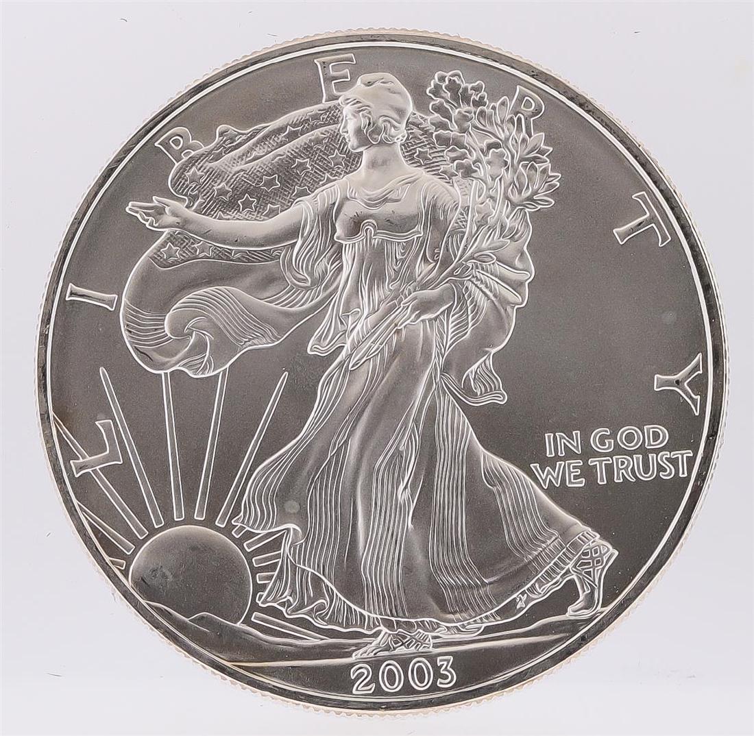 2003 American Silver Eagle Dollar Coin: One 2003 American Silver Eagle Dollar Coin.