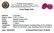 11.59 ctw Oval Mixed Ruby Parcel - 2