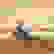 item-73829350=2