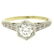 14k Gold & Platinum Old European Diamond Etched
