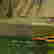 item-99081930=2