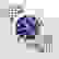 item-101991987=3