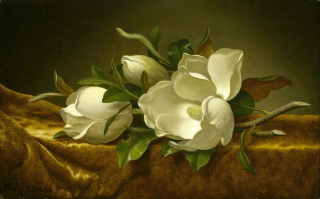 Martin Johnson Heade - Magnolias on Gold Velvet Cloth: Artist: Martin Johnson Heade - Title:Magnolias on Gold Velvet Cloth - Medium: Fine Art Giclee on Canvas - Image Size: Approximately 20 inches x 32 inches - Framed: Unframed on Unstretched Canvas - Bio