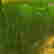 item-108634285=2