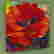 item-108634788=2