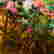 item-109618926=2