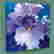 item-112414892=2