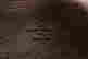 item-114876372=6