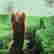 item-129130013=2