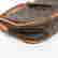 item-129130592=4