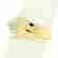 item-131752450=2