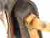 item-132052135=2