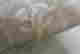 item-134066013=5