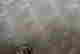 item-134066013=6