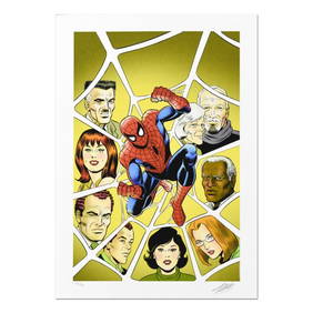 Amazing Fantasy #15 Spider-Man by Steve Ditko 11x14 FRAMED Marvel