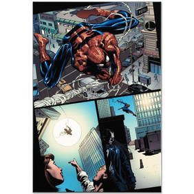 Amazing Spider-Man #526 by Marvel Comics (1 of 1)