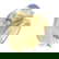 item-210705522=9
