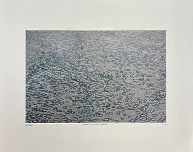 Luc Hardy Banquise Baffin Island Arctic Sea North Pole Ice: Luc Hardy Banquise, fle de Baffin - Nunavut YellowKorner Certified Photograph. Certificate of Authenticity from YellowKorner affixed to the back. Matted Dimensions 16"x20". Protected with Clear Mylar