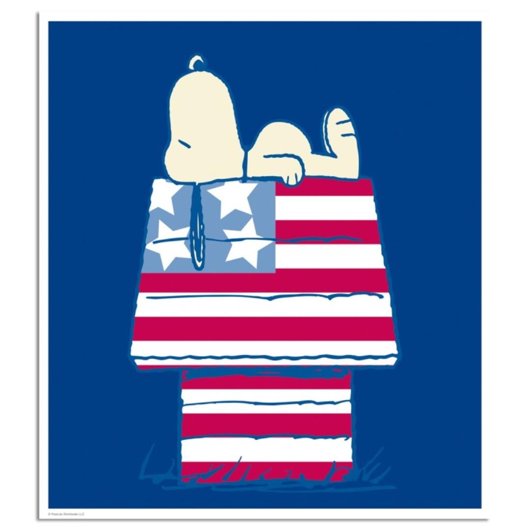 Stars and Stripes and Sleep by Peanuts,: A vibrant and striking edition portraying the simple yet emotive art of Charles. M. Schulz, creator of PEANUTS . You'll love the color, it really POPS in person! It looks incredible on the wall and wi
