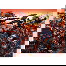 New Avengers #50 by Marvel Comics,