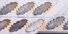 1896-1902 Morgan Silver Dollar Coin Collector's Set