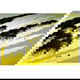 Cattle Country by Eyvind Earle (1916-2000)