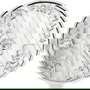 Donald Trump Fight 1oz .999 Fine Silver Coin