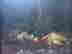 item-78711990=2