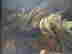 item-78711990=3