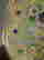 item-85006530=6
