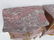 Pair of Northern Rococo bronze mounted walnut, rosewood - 2