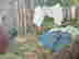 item-99205284=7