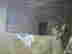 item-99205284=8