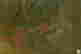 item-117506691=4