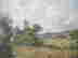 item-127809355=2