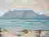 item-127809403=2
