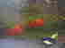item-127809446=3