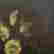 item-127809505=2