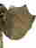 item-127809669=4