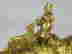 item-127809720=2