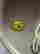 item-128682010=5