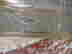 item-128682156=3