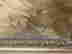item-128682453=3