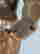 item-128682671=4