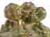 item-128682800=2