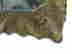 item-128683046=3