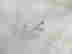 item-130667478=6