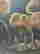 item-130667691=4