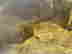 item-130667693=3